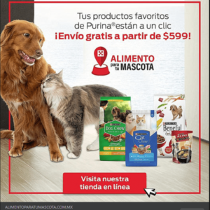 Campaña con Instagram y facebook ads